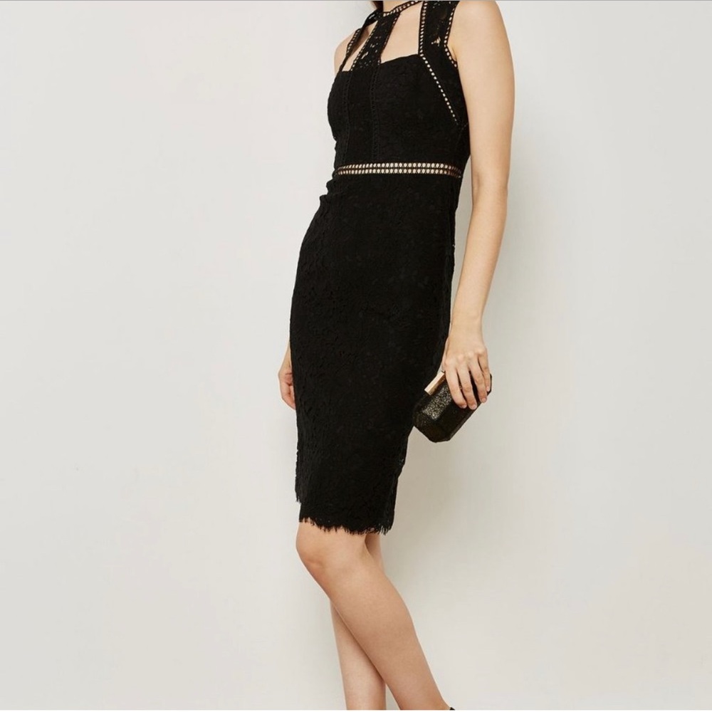 NWT Bardot Splice Panel Dress Size 8